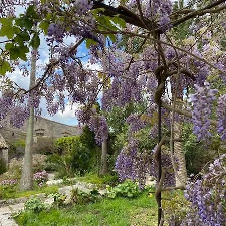 ベッド・アンド・ブレックファスト Etico La Casa Di Toti 3*